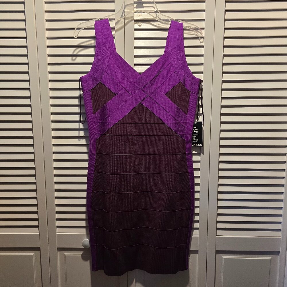 Express Plum Colorblock Bodycon Dress